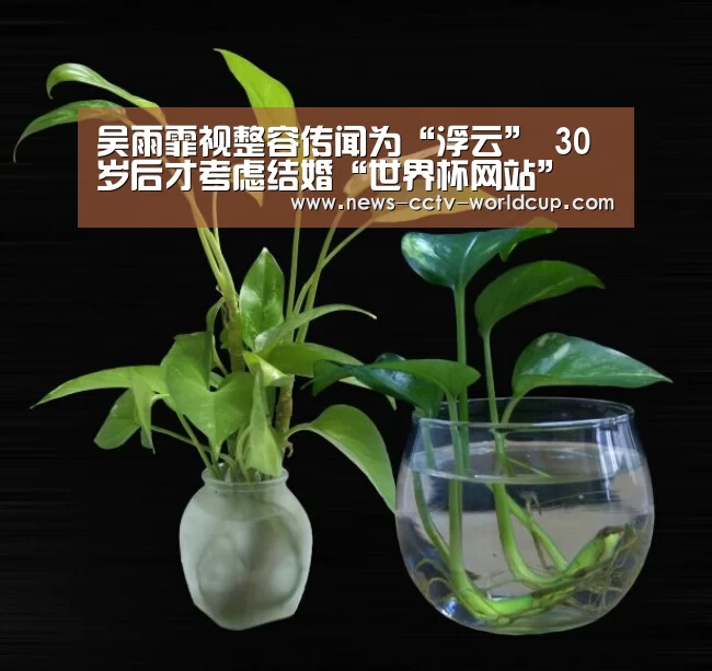 世界杯网站