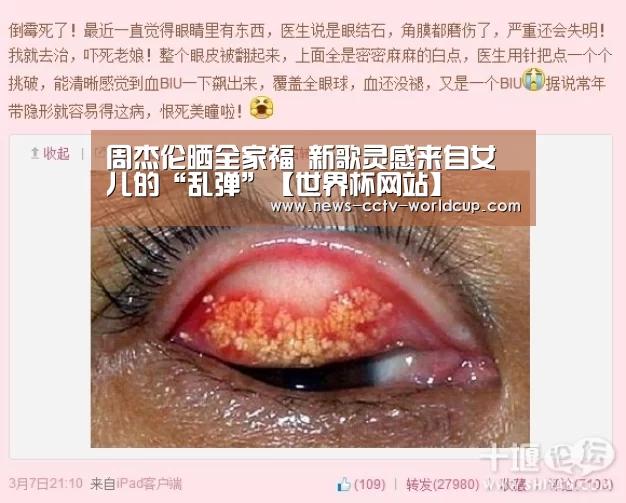世界杯网站