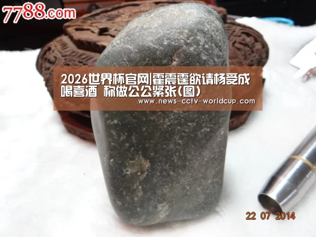 2026世界杯官网|霍震霆欲请杨受成喝喜酒 称做公公紧张(图)(图2) 2026世界杯官网